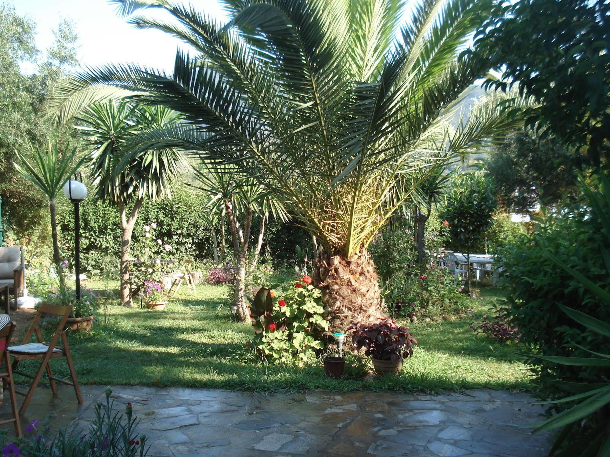 Villa Avra Dassia  Exterior foto