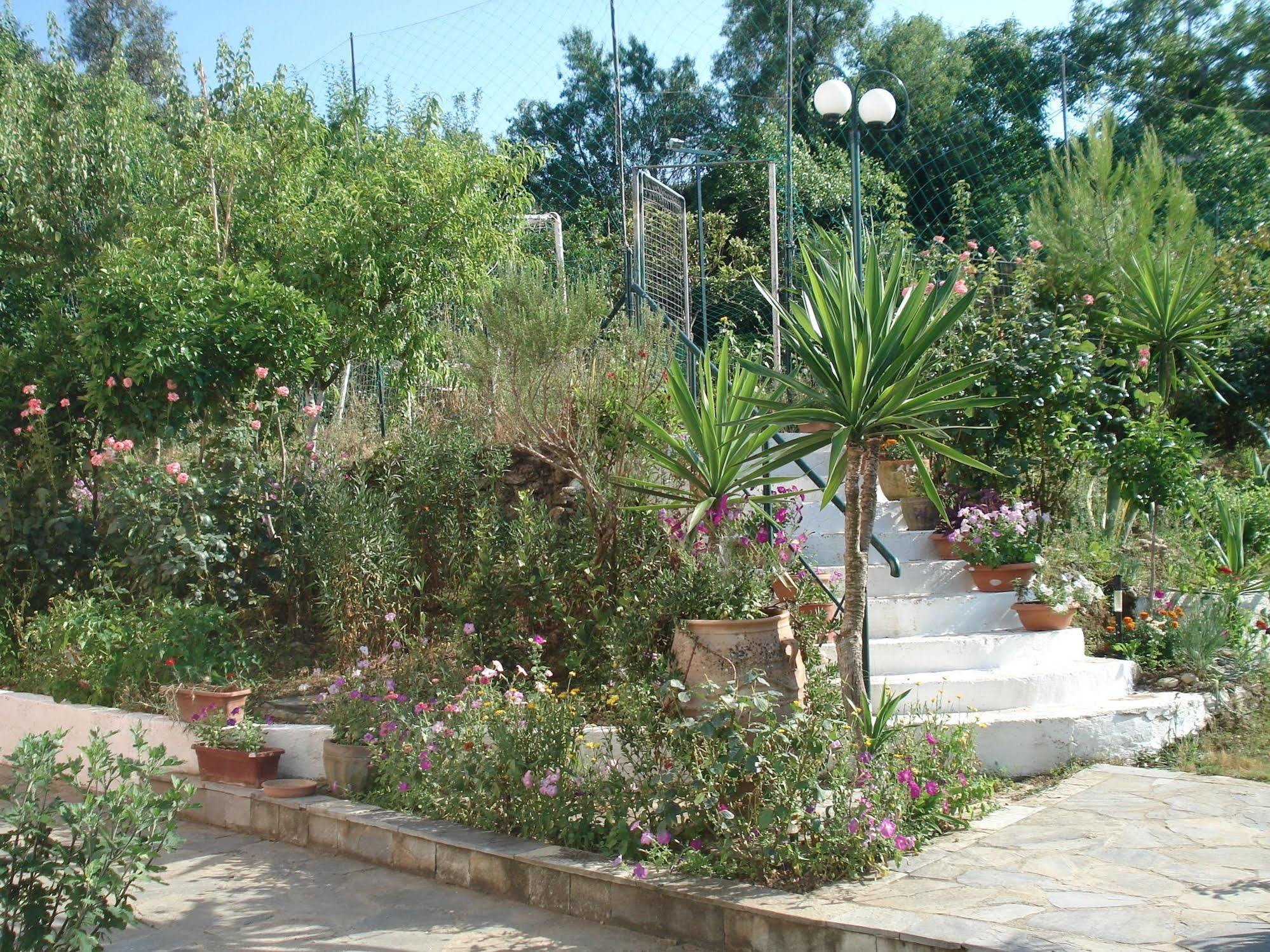 Villa Avra Dassia  Exterior foto